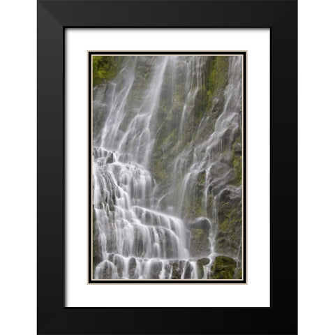 Oregon, Willamette NF View of Proxy Falls Black Modern Wood Framed Art Print with Double Matting by Paulson, Don