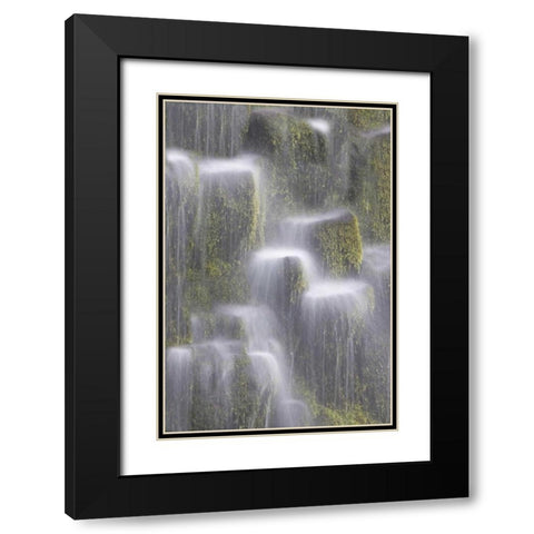 OR, Willamette NF Proxy Falls cascading water Black Modern Wood Framed Art Print with Double Matting by Paulson, Don