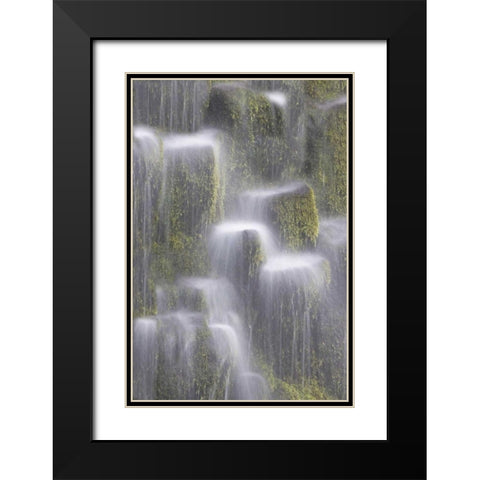 OR, Willamette NF Proxy Falls cascading water Black Modern Wood Framed Art Print with Double Matting by Paulson, Don