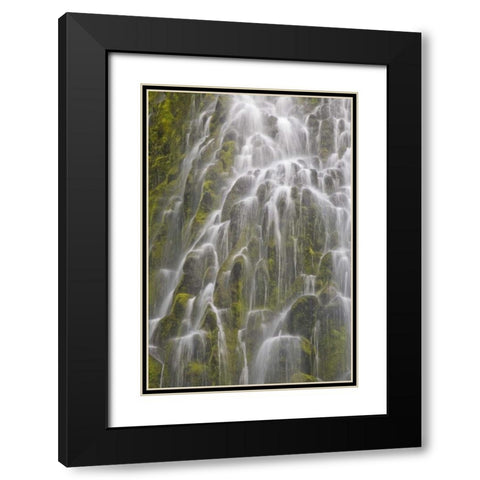 Oregon, Willamette NF View of Proxy Falls Black Modern Wood Framed Art Print with Double Matting by Paulson, Don