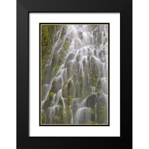 Oregon, Willamette NF View of Proxy Falls Black Modern Wood Framed Art Print with Double Matting by Paulson, Don