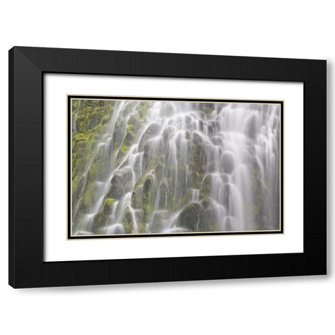 Oregon, Willamette NF View of Proxy Falls Black Modern Wood Framed Art Print with Double Matting by Paulson, Don