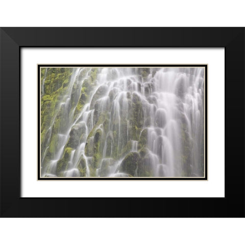 Oregon, Willamette NF View of Proxy Falls Black Modern Wood Framed Art Print with Double Matting by Paulson, Don
