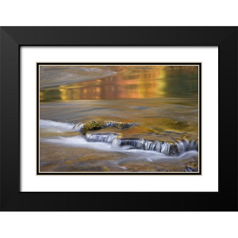 OR, Rogue River NF Autumn reflections Black Modern Wood Framed Art Print with Double Matting by Paulson, Don