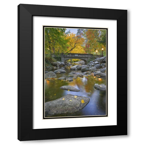 OR, Lithia Park Autumn reflects in Ashland Creek Black Modern Wood Framed Art Print with Double Matting by Paulson, Don