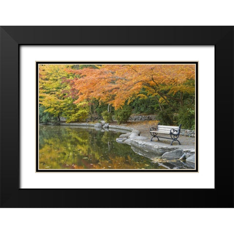 OR, Lithia Park Walkway bench next to pond Black Modern Wood Framed Art Print with Double Matting by Paulson, Don