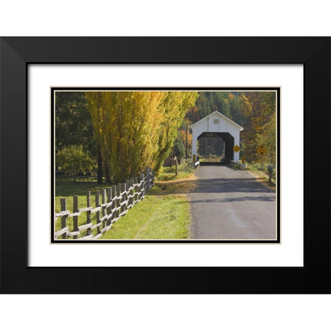 Oregon, Lake Creek Nelson Mountain Bridge Black Modern Wood Framed Art Print with Double Matting by Paulson, Don