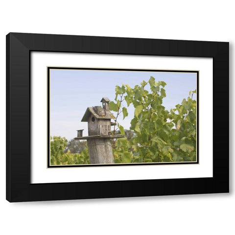 OR, Willamette Valley Birdhouse in vineyard Black Modern Wood Framed Art Print with Double Matting by Paulson, Don