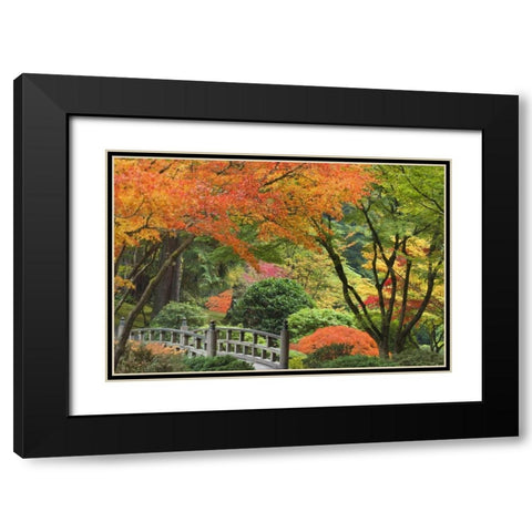 Oregon, Portland Bridge and maple tree in autumn Black Modern Wood Framed Art Print with Double Matting by Paulson, Don