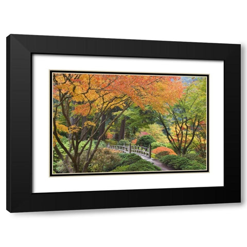 Oregon, Portland Bridge and maple tree in autumn Black Modern Wood Framed Art Print with Double Matting by Paulson, Don