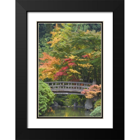 Oregon, Portland Wooden bridge over pond Black Modern Wood Framed Art Print with Double Matting by Paulson, Don