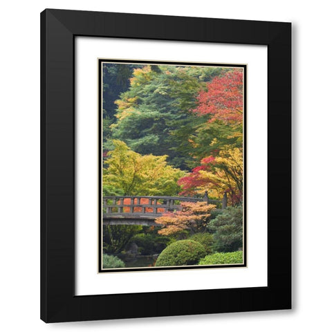 Oregon, Portland Wooden bridge over pond Black Modern Wood Framed Art Print with Double Matting by Paulson, Don
