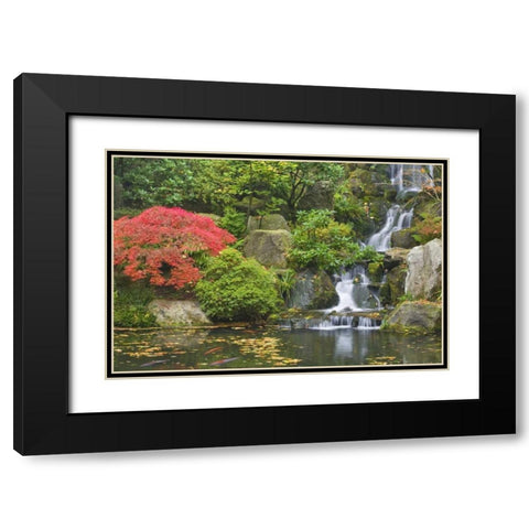 Oregon, Portland Waterfall flows into koi pond Black Modern Wood Framed Art Print with Double Matting by Paulson, Don