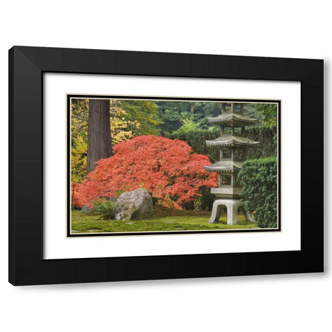 Oregon, Portland Stone tower and Japanese maple Black Modern Wood Framed Art Print with Double Matting by Paulson, Don