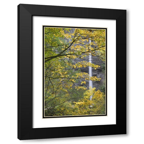 OR, Columbia Gorge Latourell Falls in autumn Black Modern Wood Framed Art Print with Double Matting by Paulson, Don