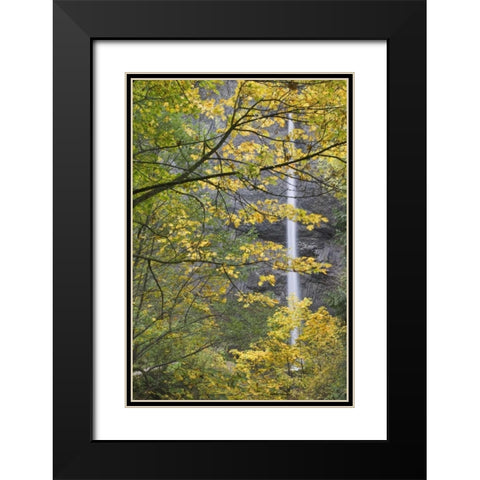 OR, Columbia Gorge Latourell Falls in autumn Black Modern Wood Framed Art Print with Double Matting by Paulson, Don