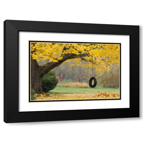OR, Hood River Tire swing hangs from tree branch Black Modern Wood Framed Art Print with Double Matting by Paulson, Don