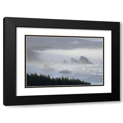 Oregon, Gold Beach Foggy morning on seashore Black Modern Wood Framed Art Print with Double Matting by Kaveney, Wendy