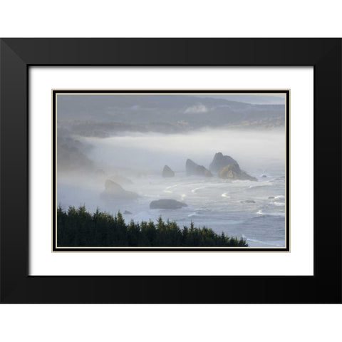 Oregon, Gold Beach Foggy morning on seashore Black Modern Wood Framed Art Print with Double Matting by Kaveney, Wendy