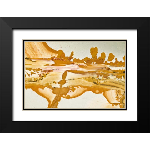 Oregon Close-up of Owyhee Picture Jasper stone Black Modern Wood Framed Art Print with Double Matting by Kirkland, Dennis