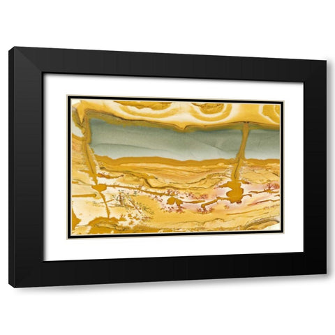 Oregon Close-up of Owyhee Picture Jasper stone Black Modern Wood Framed Art Print with Double Matting by Kirkland, Dennis