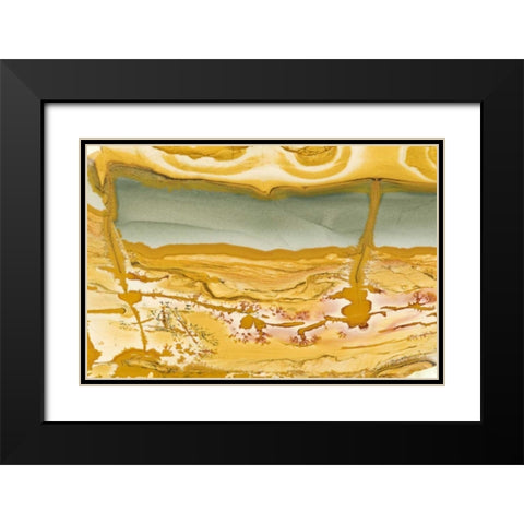 Oregon Close-up of Owyhee Picture Jasper stone Black Modern Wood Framed Art Print with Double Matting by Kirkland, Dennis