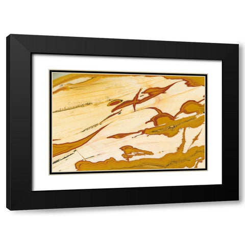 Oregon Close-up of Owyhee Picture Jasper stone Black Modern Wood Framed Art Print with Double Matting by Kirkland, Dennis