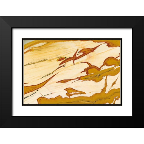 Oregon Close-up of Owyhee Picture Jasper stone Black Modern Wood Framed Art Print with Double Matting by Kirkland, Dennis