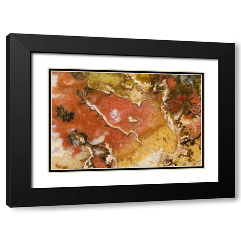 Oregon Graveyard Point Plume Agate stone Black Modern Wood Framed Art Print with Double Matting by Kirkland, Dennis