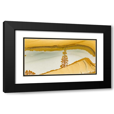 Oregon Close-up of Owyhee Picture Jasper stone Black Modern Wood Framed Art Print with Double Matting by Kirkland, Dennis