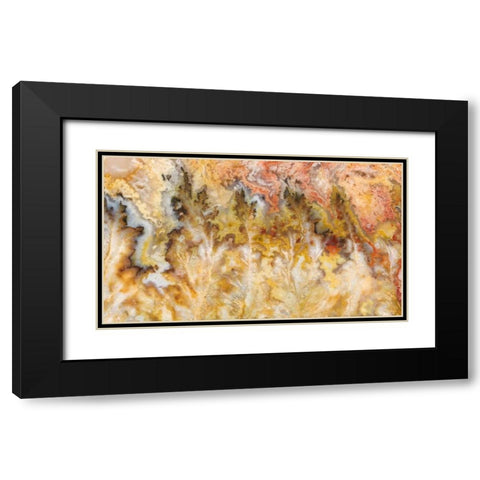 Oregon Graveyard Point Plume Agate stone Black Modern Wood Framed Art Print with Double Matting by Kirkland, Dennis