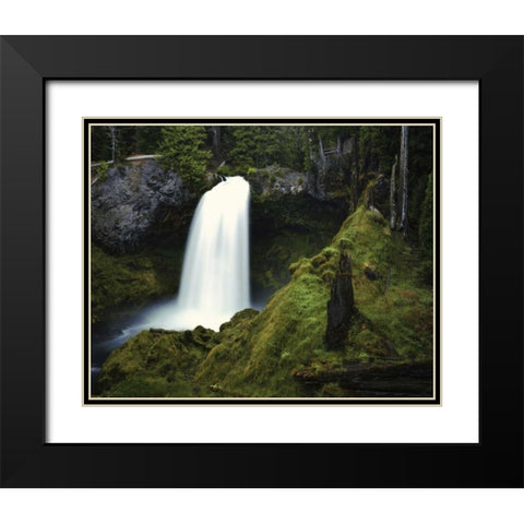 OR, Cascades Waterfall on the McKenzie River Black Modern Wood Framed Art Print with Double Matting by Flaherty, Dennis