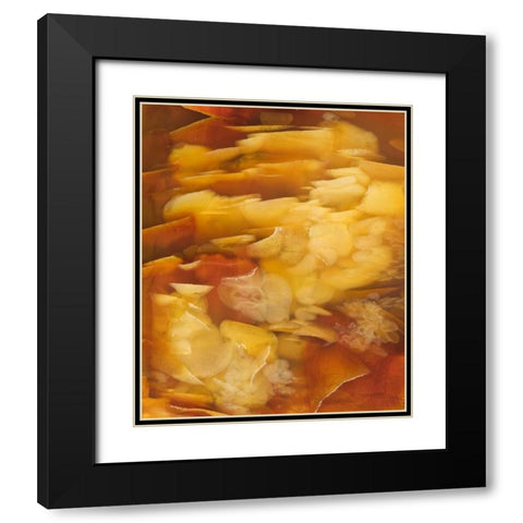 USA, Oregon Close-up of red flake agate stone Black Modern Wood Framed Art Print with Double Matting by Kirkland, Dennis
