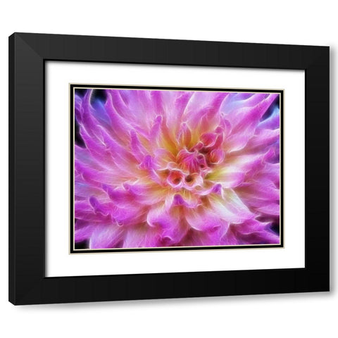 Oregon Abstract of digitally altered pink dahlia Black Modern Wood Framed Art Print with Double Matting by Carter, Jean