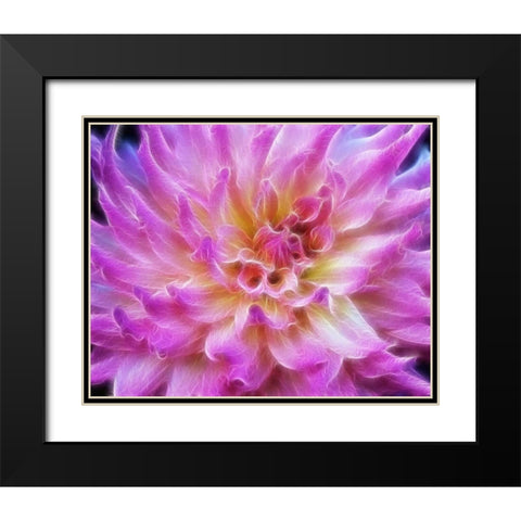 Oregon Abstract of digitally altered pink dahlia Black Modern Wood Framed Art Print with Double Matting by Carter, Jean