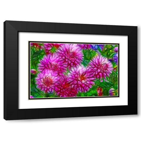 Oregon Abstract of pink dahlias Black Modern Wood Framed Art Print with Double Matting by Carter, Jean