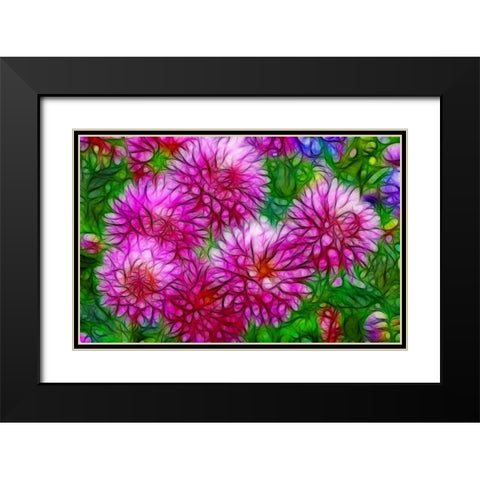 Oregon Abstract of pink dahlias Black Modern Wood Framed Art Print with Double Matting by Carter, Jean