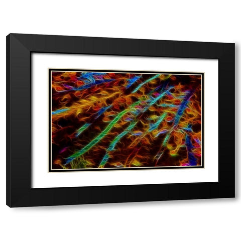 OR, Bandon Abstract of Pacific sea kelp Black Modern Wood Framed Art Print with Double Matting by Carter, Jean