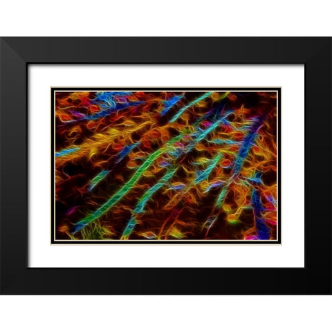 OR, Bandon Abstract of Pacific sea kelp Black Modern Wood Framed Art Print with Double Matting by Carter, Jean