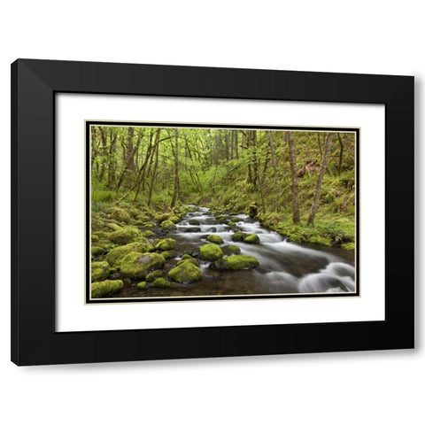 Oregon, Columbia River Gorge Gorton Creek Black Modern Wood Framed Art Print with Double Matting by Paulson, Don