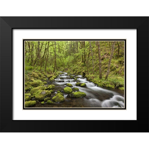 Oregon, Columbia River Gorge Gorton Creek Black Modern Wood Framed Art Print with Double Matting by Paulson, Don