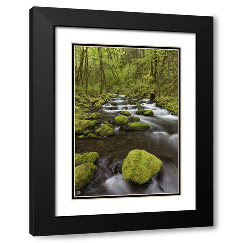 Oregon, Columbia River Gorge Gorton Creek Black Modern Wood Framed Art Print with Double Matting by Paulson, Don