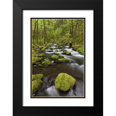 Oregon, Columbia River Gorge Gorton Creek Black Modern Wood Framed Art Print with Double Matting by Paulson, Don