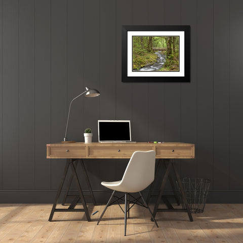 OR, Columbia Gorge Wooden bridge over Creek Black Modern Wood Framed Art Print with Double Matting by Paulson, Don