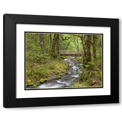 OR, Columbia Gorge Wooden bridge over Creek Black Modern Wood Framed Art Print with Double Matting by Paulson, Don