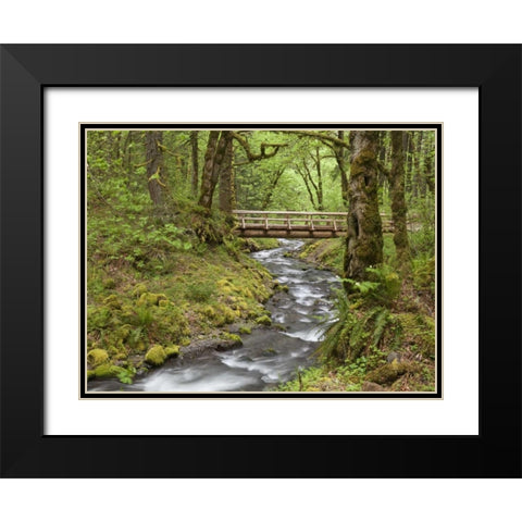 OR, Columbia Gorge Wooden bridge over Creek Black Modern Wood Framed Art Print with Double Matting by Paulson, Don