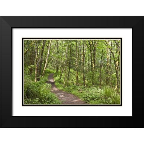 Oregon, Columbia River Gorge Elowah Falls Trail Black Modern Wood Framed Art Print with Double Matting by Paulson, Don