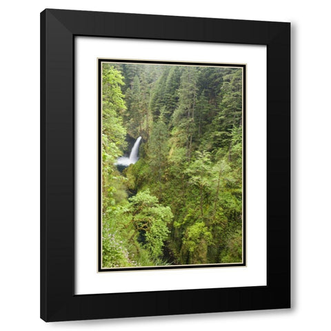 OR, Columbia Gorge Metlako Falls Black Modern Wood Framed Art Print with Double Matting by Paulson, Don