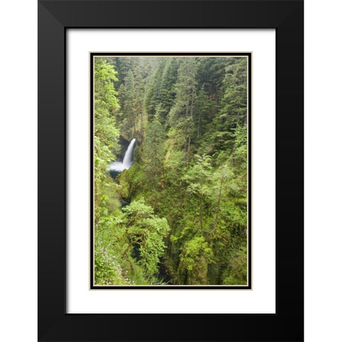 OR, Columbia Gorge Metlako Falls Black Modern Wood Framed Art Print with Double Matting by Paulson, Don