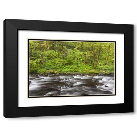 Oregon, Columbia River Gorge Tanner Creek Black Modern Wood Framed Art Print with Double Matting by Paulson, Don